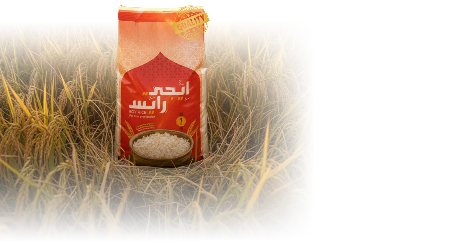صورة خلفية الشعار