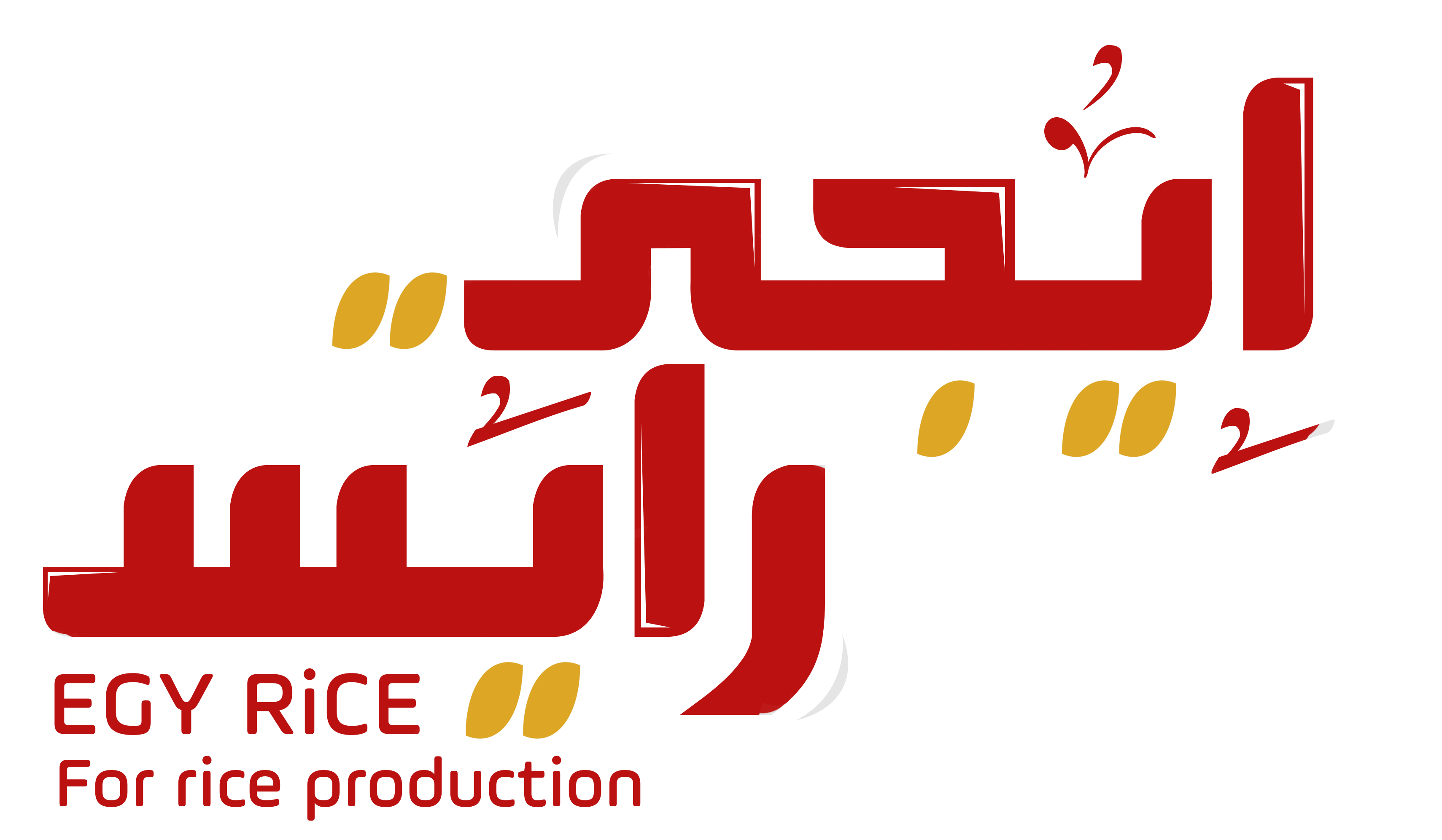 EgyRice